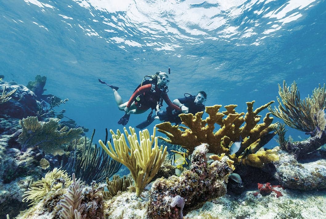 A couple scuba diving