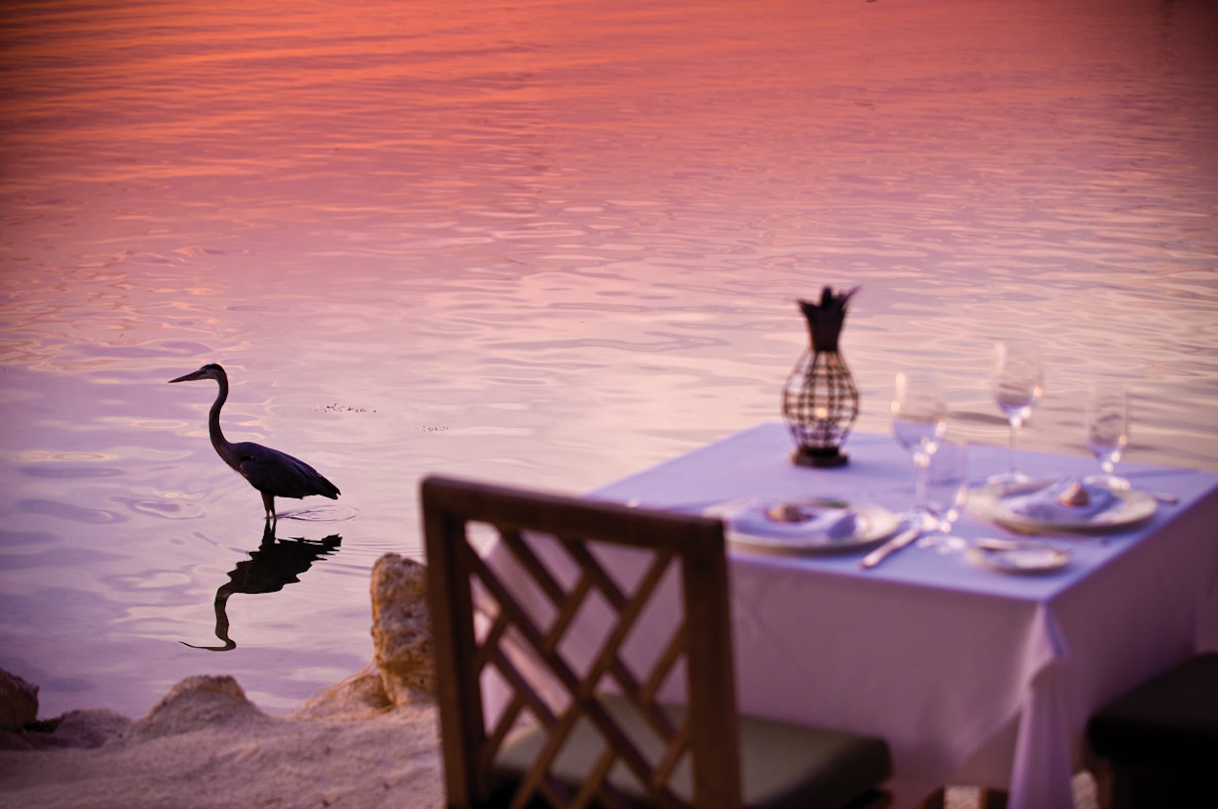 A table near the water at sunset with a bird in the water