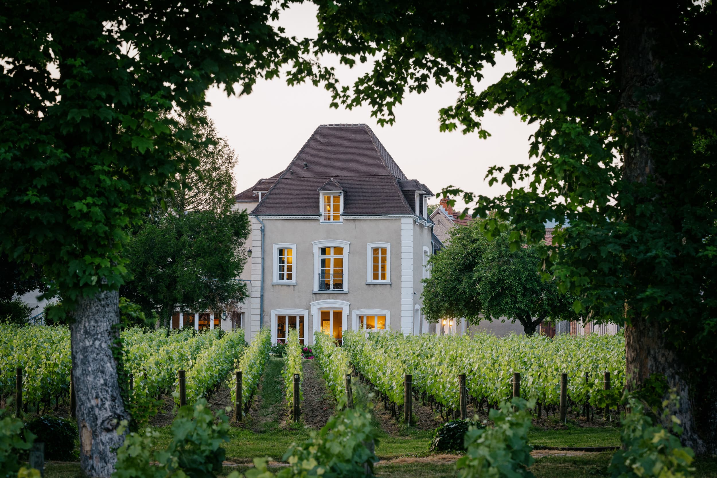 castle home in a winery field