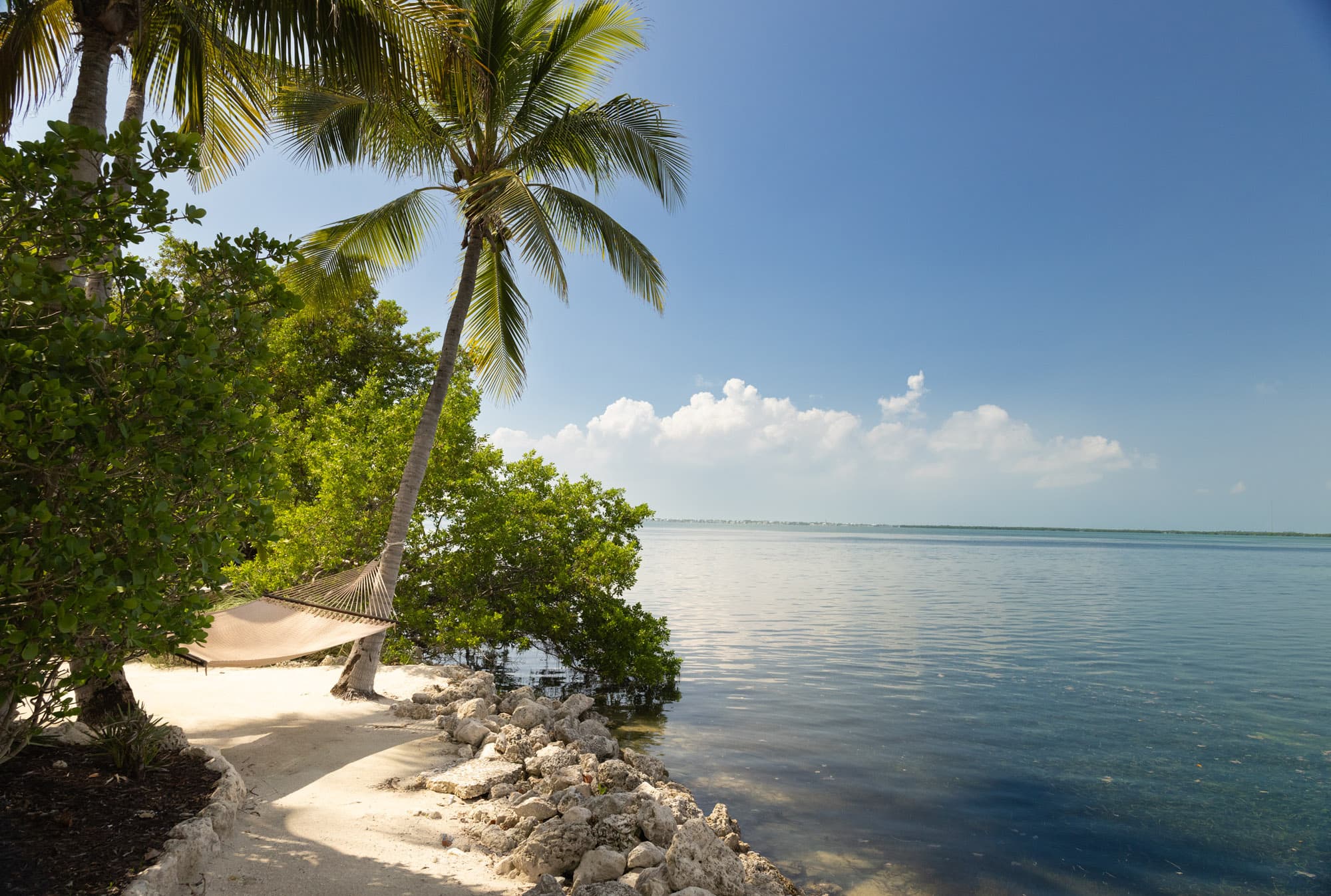 Hammocks On The Beach