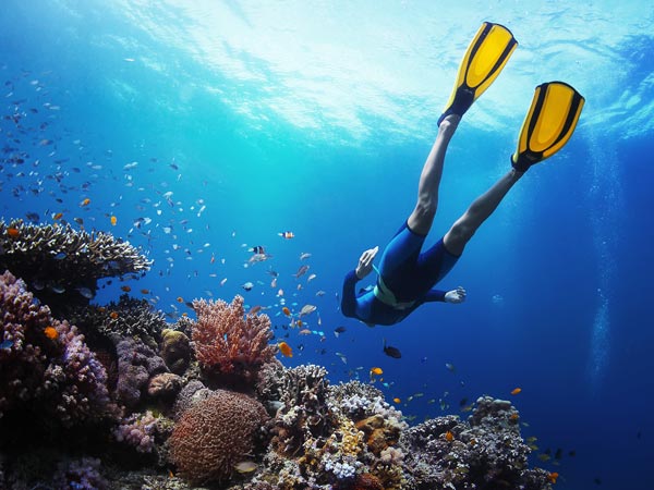 Snorkeling in the ocean.