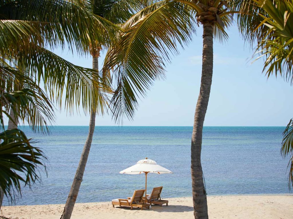 Lounge chairs on the beach.