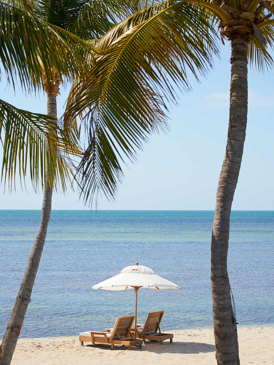 Lounge chairs on the beach.