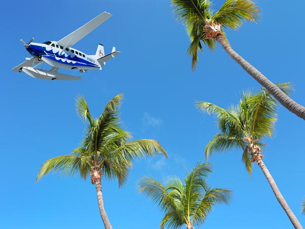 Seaplane flying above palm trees.