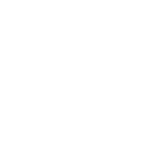 Allegro Logo.