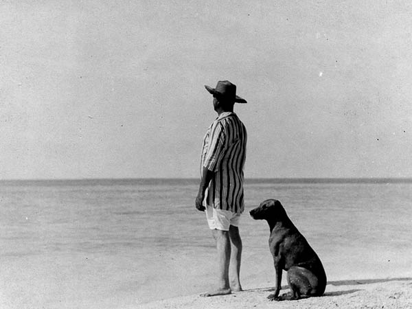 A Guy And Dog On The Beach.