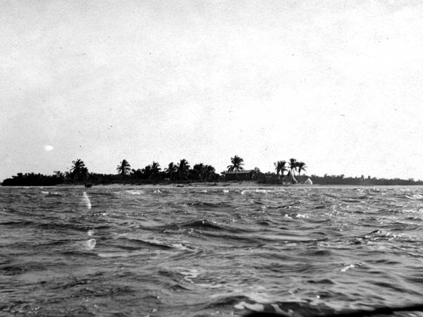 Little Palm Island In Black And White.