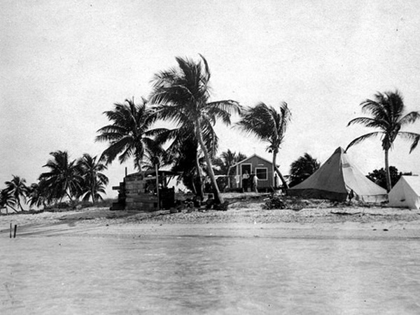 Little Palm Island In Black And White.